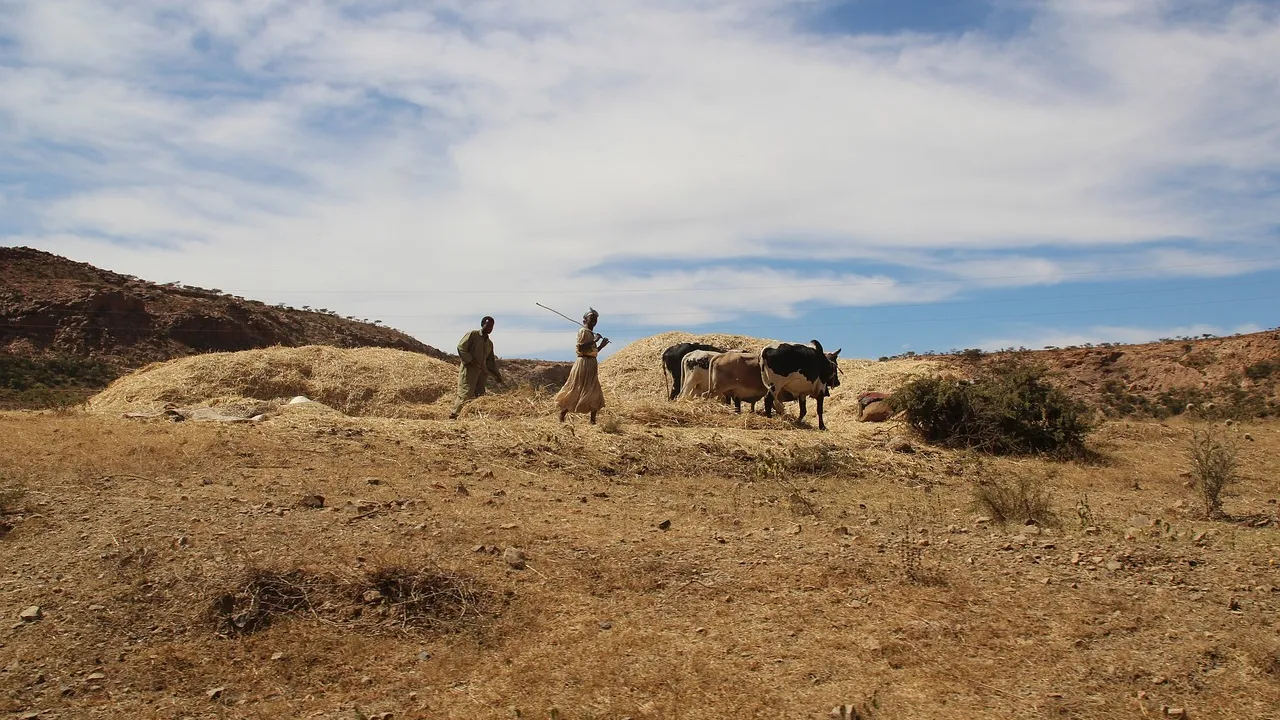 Een landschap in Eritrea