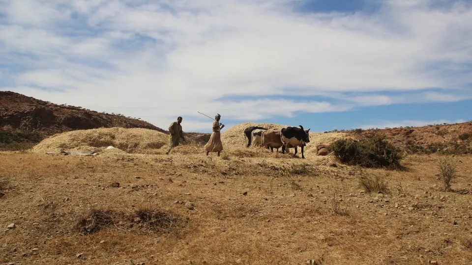 Een landschap in Eritrea