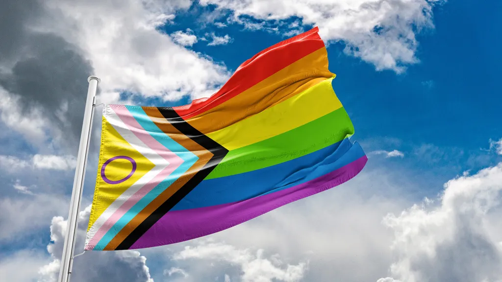 Inclusieve Pride vlag 