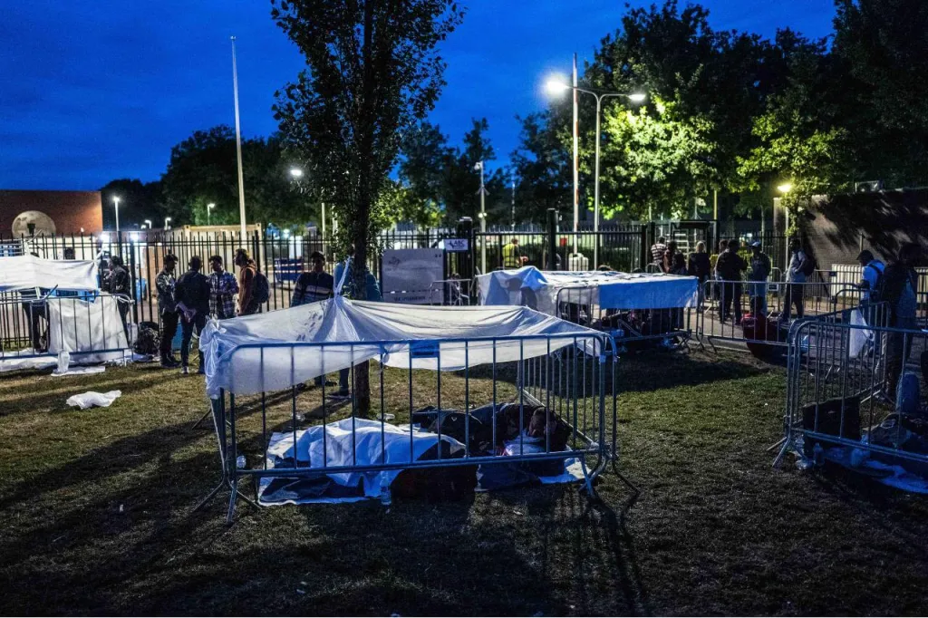 Bedden en hekken buiten bij Ter Apel